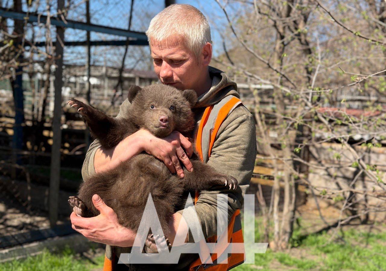 У Маріупольському зоопарку з’явилися нові мешканці